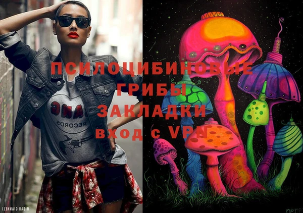 2c-b Михайловск