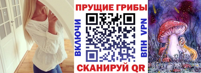 Галлюциногенные грибы мицелий  Купить закладки  Устюжна 